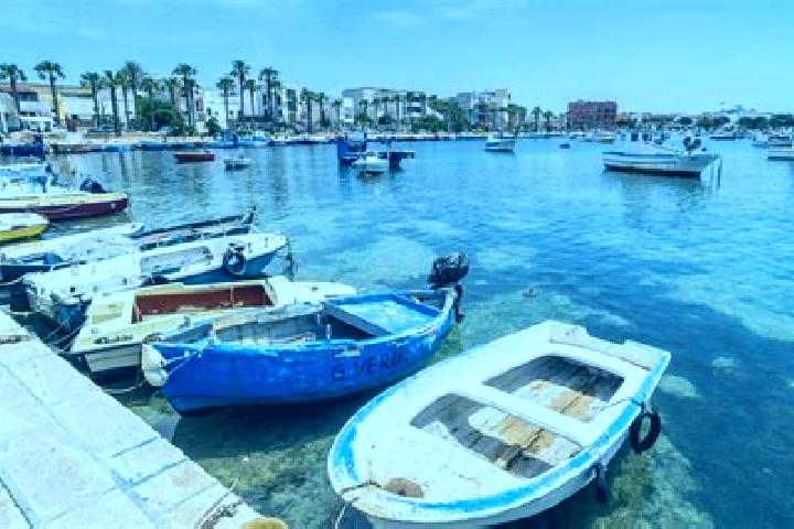 Hazel, 37, a chestnut grey-eyed caribbean companion based in San Cesario di Lecce. Offering Erotic Massage, Travel Companion, 69, Couples, CIM. Available for...