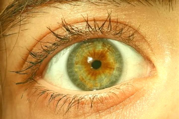 Hazel, 37, a red hazel-eyed latina companion based in El Guayabo. Offering Couples, Striptease, CIM, Travel Companion. Available for incall and outcall, day ...
