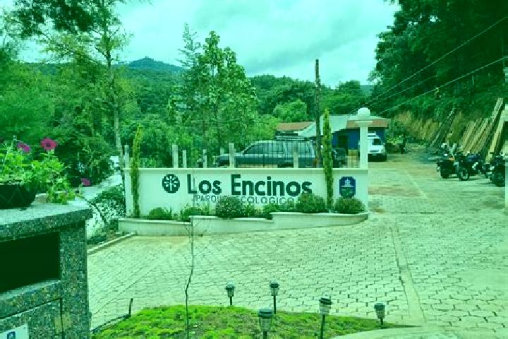 Hazel, 37 — Escort in Los Encinos, Mexico