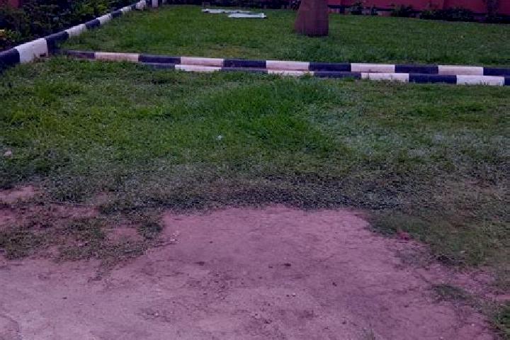 Hazel, 37 — Escort in Nakaseke, Uganda