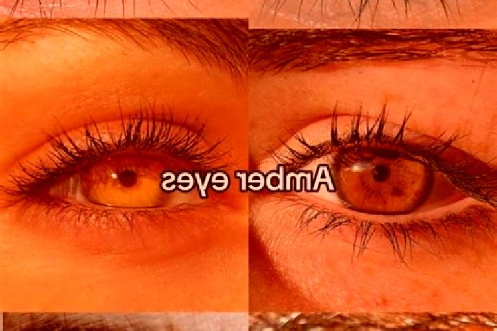 Hazel, 38, a brunette amber-eyed mediterranean companion based in Shell. Offering Duos, Girlfriend Experience, A-Level. Available for incall and outcall, ove...