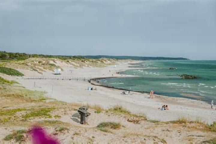 Hazel, 38 — Escort in Liseleje, Denmark