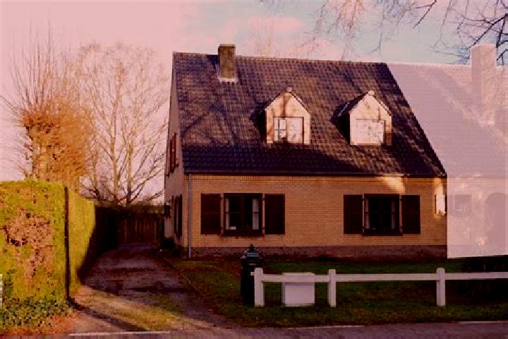 Hazel, 38 — Escort in Sint-Martens-Leerne, Belgium