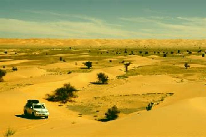 Hazel, 38 — Escort in Tichla, Western Sahara