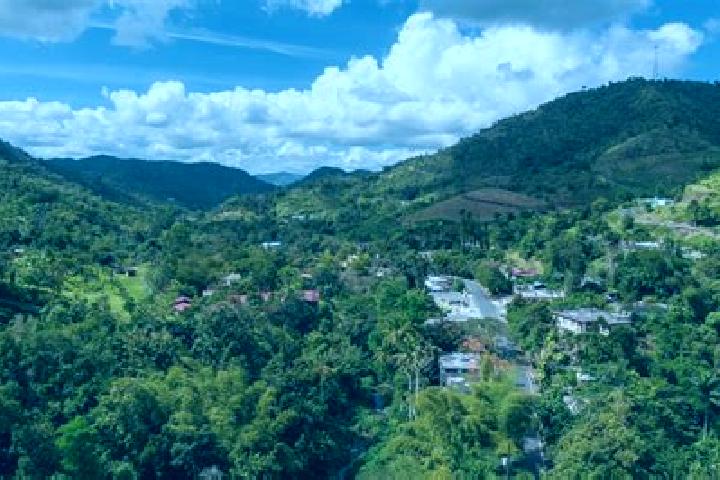 Hazel, 39 — Escort in Ciales, Puerto Rico