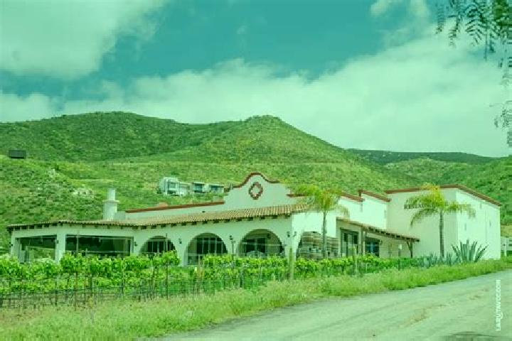 Hazel, 39 — Escort in Hacienda Guadalupe, Mexico