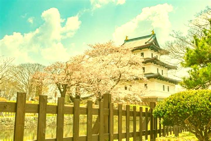 Hazel, 39 — Escort in Matsumae, Japan
