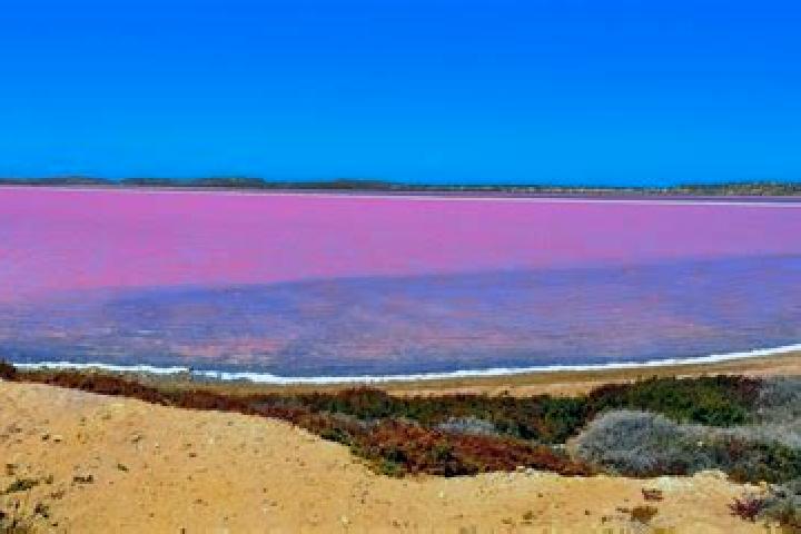 Iris, 20 — Escort in Pink Lake, Australia