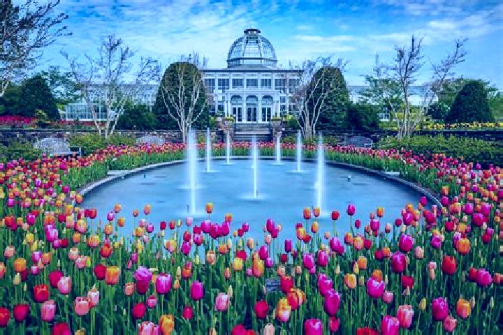 Iris, 20 — Escort in South Portland Gardens, United States