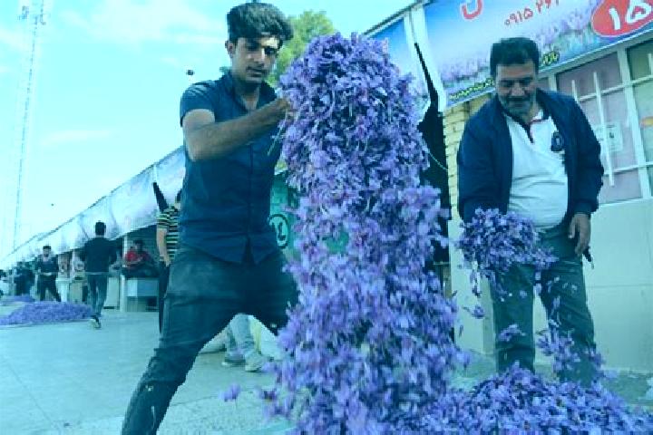 Iris, 20 — Escort in Torbat-e Heydariyeh, Iran