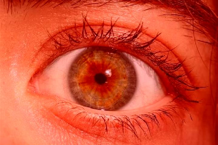Iris, 21, a red hazel-eyed slavic companion based in Au. Offering 69, Fetish, Overnight, Domination. Available for incall and outcall, overnight bookings ava...
