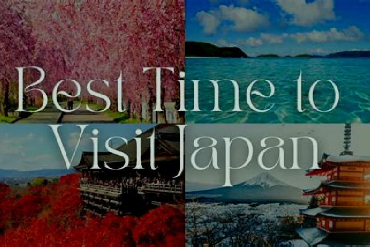 Iris, 21 — Escort in Anan, Japan