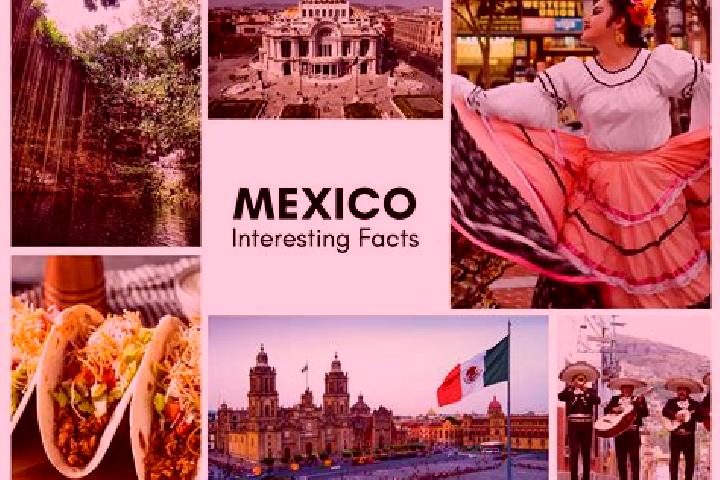 Iris, 21 — Escort in Chalcomulco, Mexico
