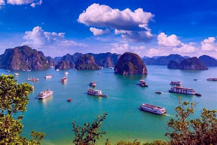 Iris, 21 — Escort in Ha GJong, Vietnam