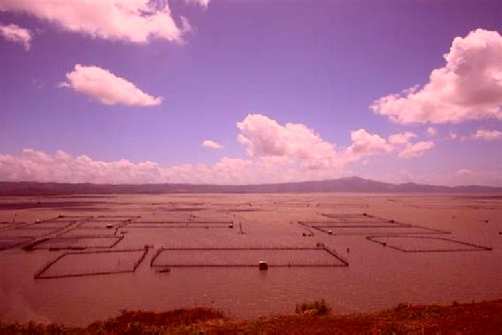 Iris, 21 — Escort in Laguna de Santa Rita, Mexico