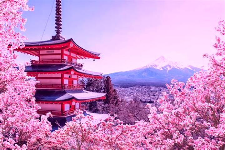 Iris, 21 — Escort in Sakura, Japan