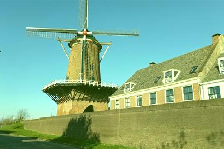 Iris, 21 — Escort in Wijk bij Duurstede, Netherlands