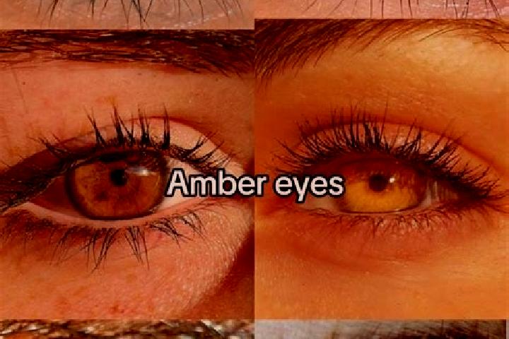 Iris, 22, a brunette amber-eyed mixed companion based in Gesvres. Offering BDSM, Striptease, 69, Fetish. Available for incall and outcall, overnight bookings...