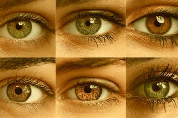 Iris, 22, a red hazel-eyed middle eastern companion based in Louros. Offering OWO, Girlfriend Experience, GFE. Available for incall and outcall, day and even...