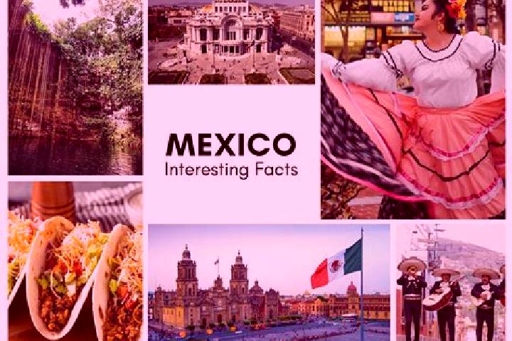 Iris, 22 — Escort in Bajo Grande, Mexico