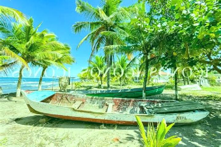 Iris, 22 — Escort in Baracoa, Honduras