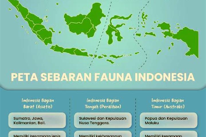 Iris, 22 — Escort in Gersikputih Tengah, Indonesia