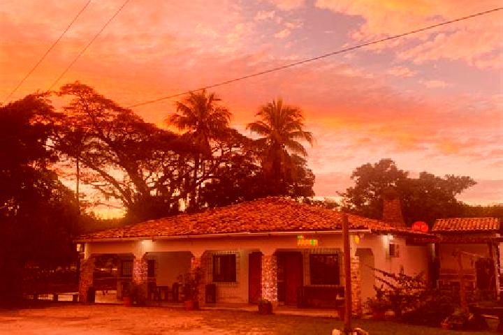 Iris, 22 — Escort in Guayape, Honduras