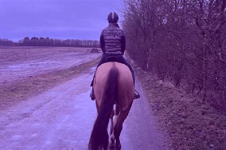 Iris, 22 — Escort in Hjallerup, Denmark
