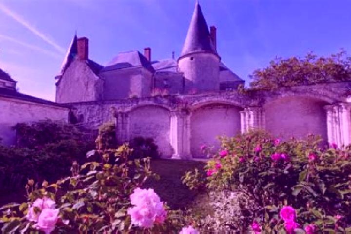 Iris, 22 — Escort in Huisseau-sur-Mauves, France