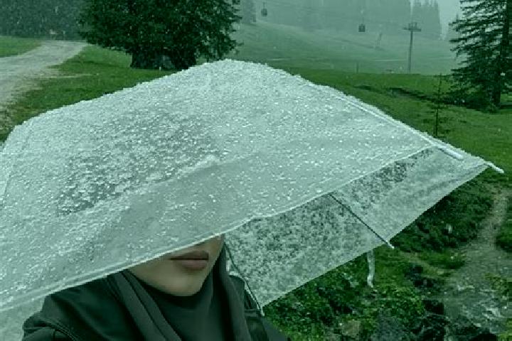 Iris, 22 — Escort in Rain, Switzerland