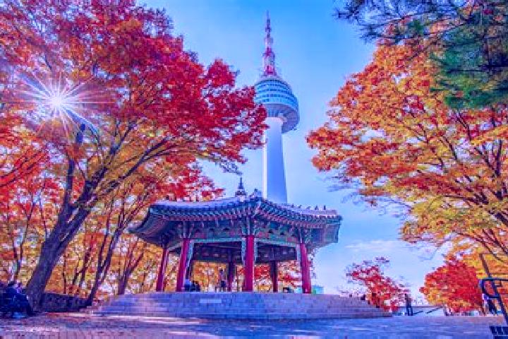 Iris, 22 — Escort in Sindo, North Korea