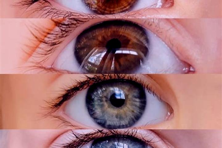 Iris, 23, a chestnut brown-eyed middle eastern companion based in Muqui. Offering A-Level, Overnight, CIM. Available for incall and outcall, day and evening ...