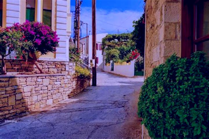 Iris, 23 — Escort in Atsipopoulo, Greece