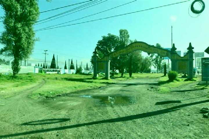 Iris, 23 — Escort in Colonia la Concepcion, Mexico