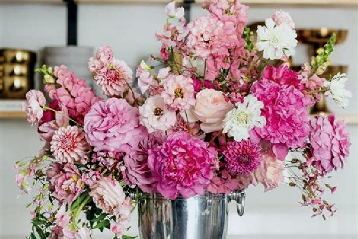 Iris, 23 — Escort in Vase, Slovenia