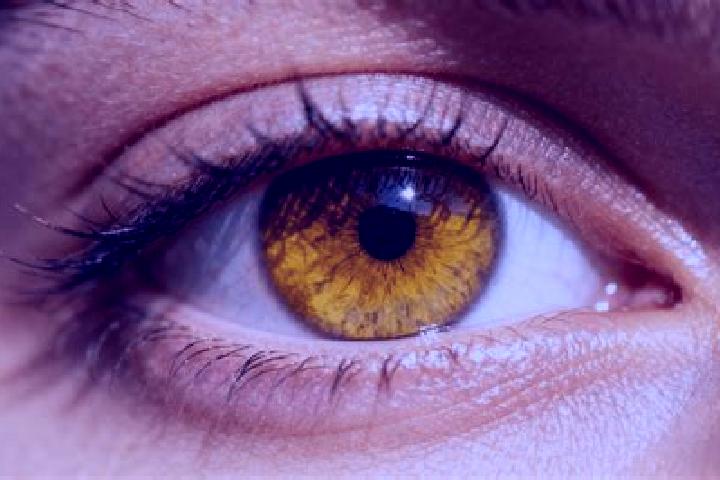 Iris, 24, a dark blonde amber-eyed caucasian companion based in Donethat. Offering Duos, Dinner Date, A-Level. Available for incall and outcall, overnight bo...