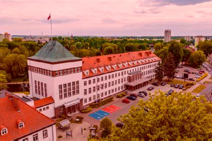 Iris, 24 — Escort in Brzyskorzystewko, Poland