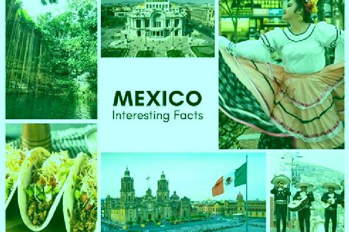 Iris, 24 — Escort in Guelaguechi, Mexico