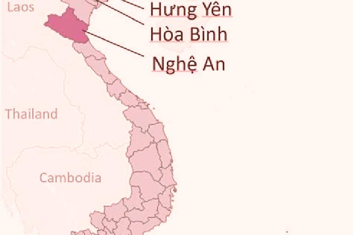 Iris, 24 — Escort in Hung Hoa, Vietnam