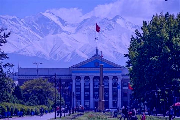 Iris, 24 — Escort in Kara-Debe, Kyrgyzstan