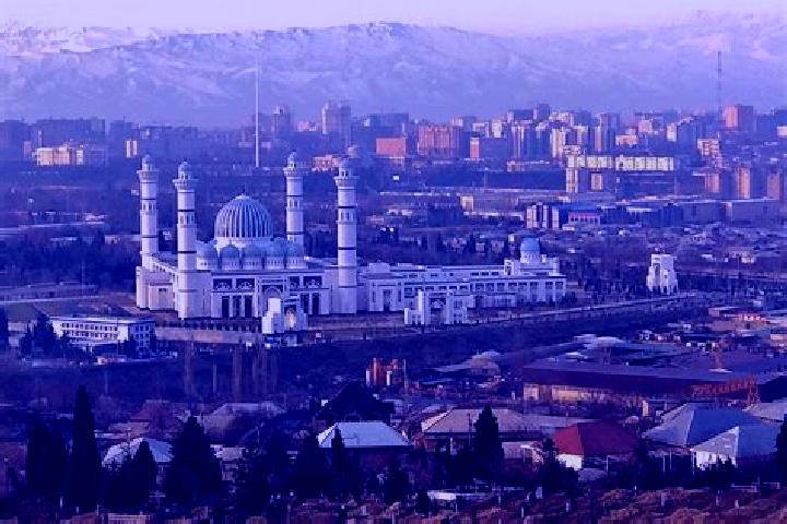 Iris, 24 — Escort in Shahriston, Tajikistan