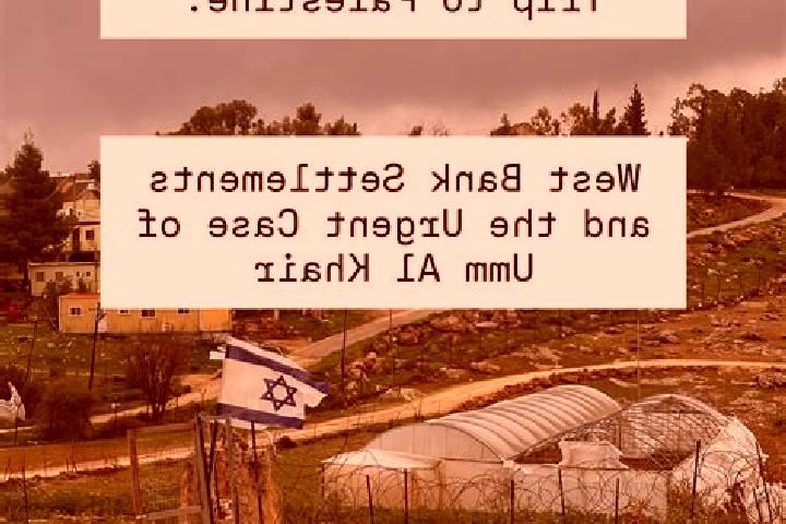 Iris, 24 — Escort in Umm Salmunah, Palestine
