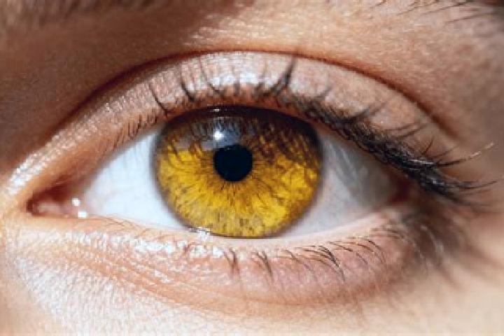 Iris, 25, a black amber-eyed european companion based in Duba. Offering Fetish, Travel Companion, Duos. Available for incall and outcall, overnight bookings ...
