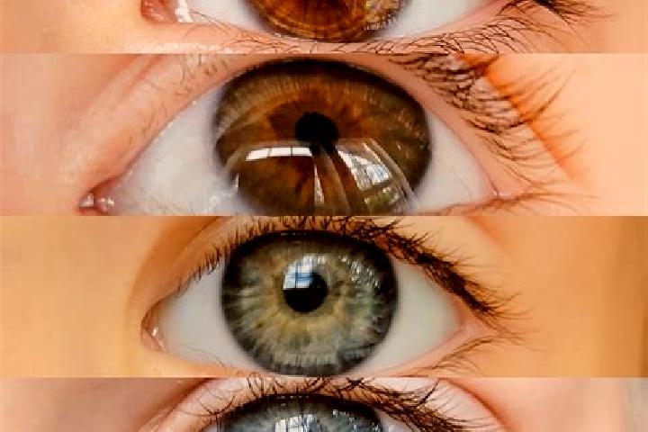 Iris, 25, a chestnut dark-eyed mixed companion based in Grangwav. Offering Domination, Striptease, Girlfriend Experience. Available for incall and outcall, o...