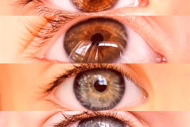 Iris, 25, a chestnut grey-eyed mixed companion based in Guadalupe. Offering Overnight, OWO. Available for incall and outcall, overnight bookings available.