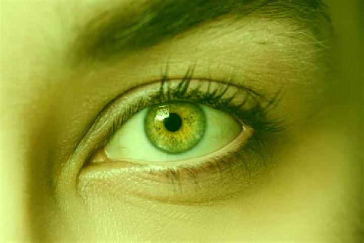 Iris, 25, a chestnut hazel-eyed mixed companion based in Naranjito. Offering Dinner Date, Deep French Kissing, Party Girl, Domination. Available for incall a...