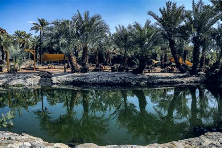 Iris, 25 — Escort in Al-Kharijah, Egypt