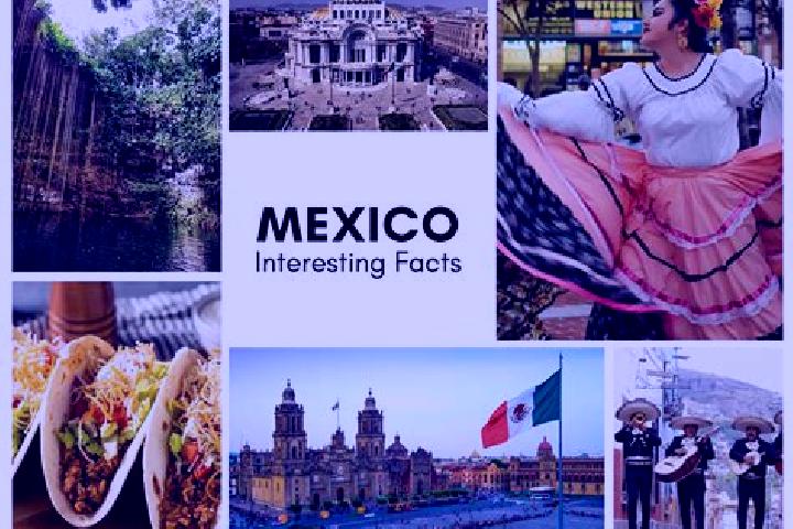 Iris, 25 — Escort in Cahuageo, Mexico