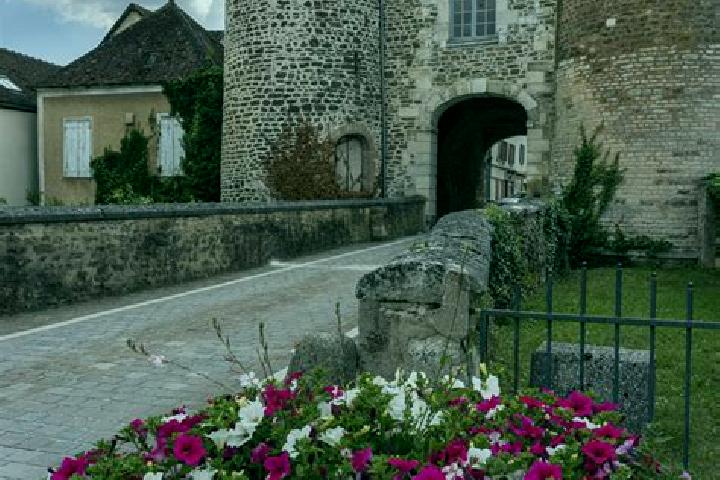 Iris, 25 — Escort in Ervy-le-Chatel, France