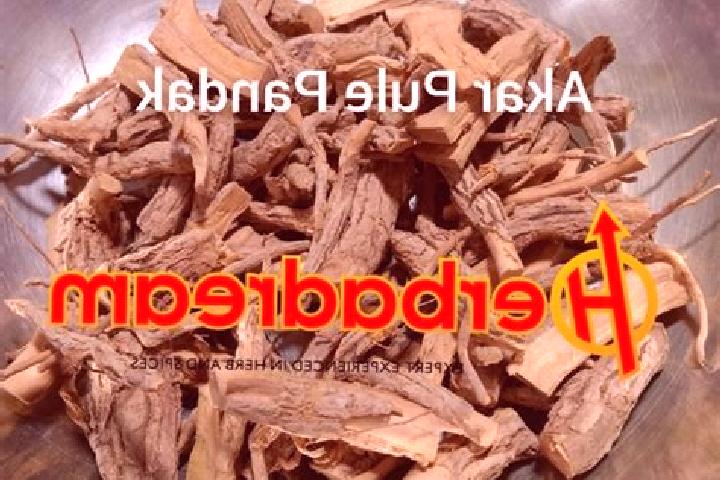 Iris, 25 — Escort in Pandak, Indonesia